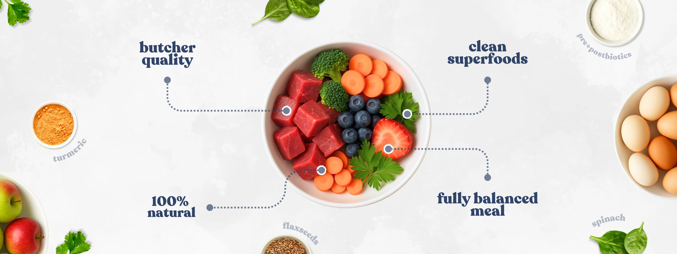 Superfood Nutrition for Thriving Dogs