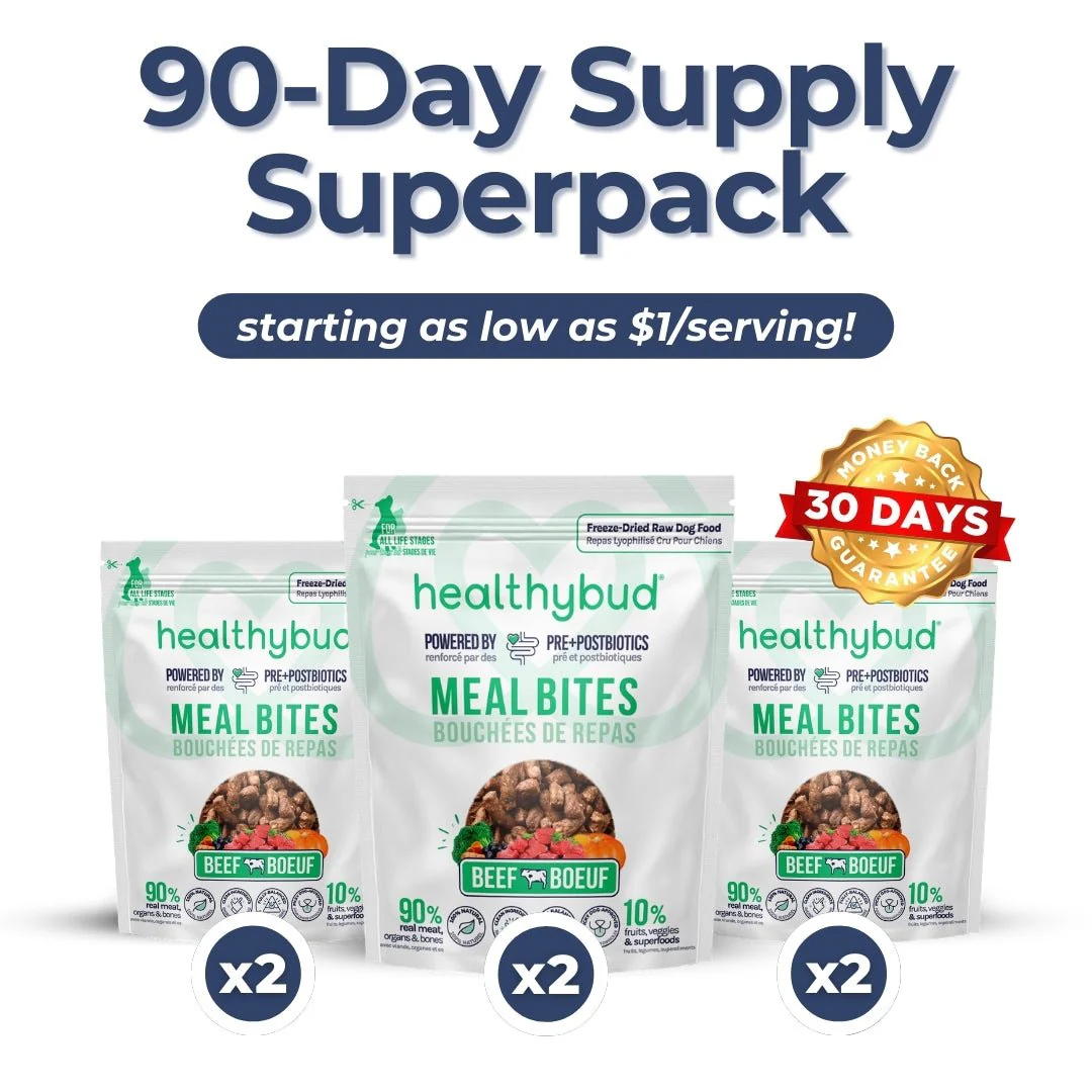 Small Dog Kibble Booster Super Pack (90-Day Supply)