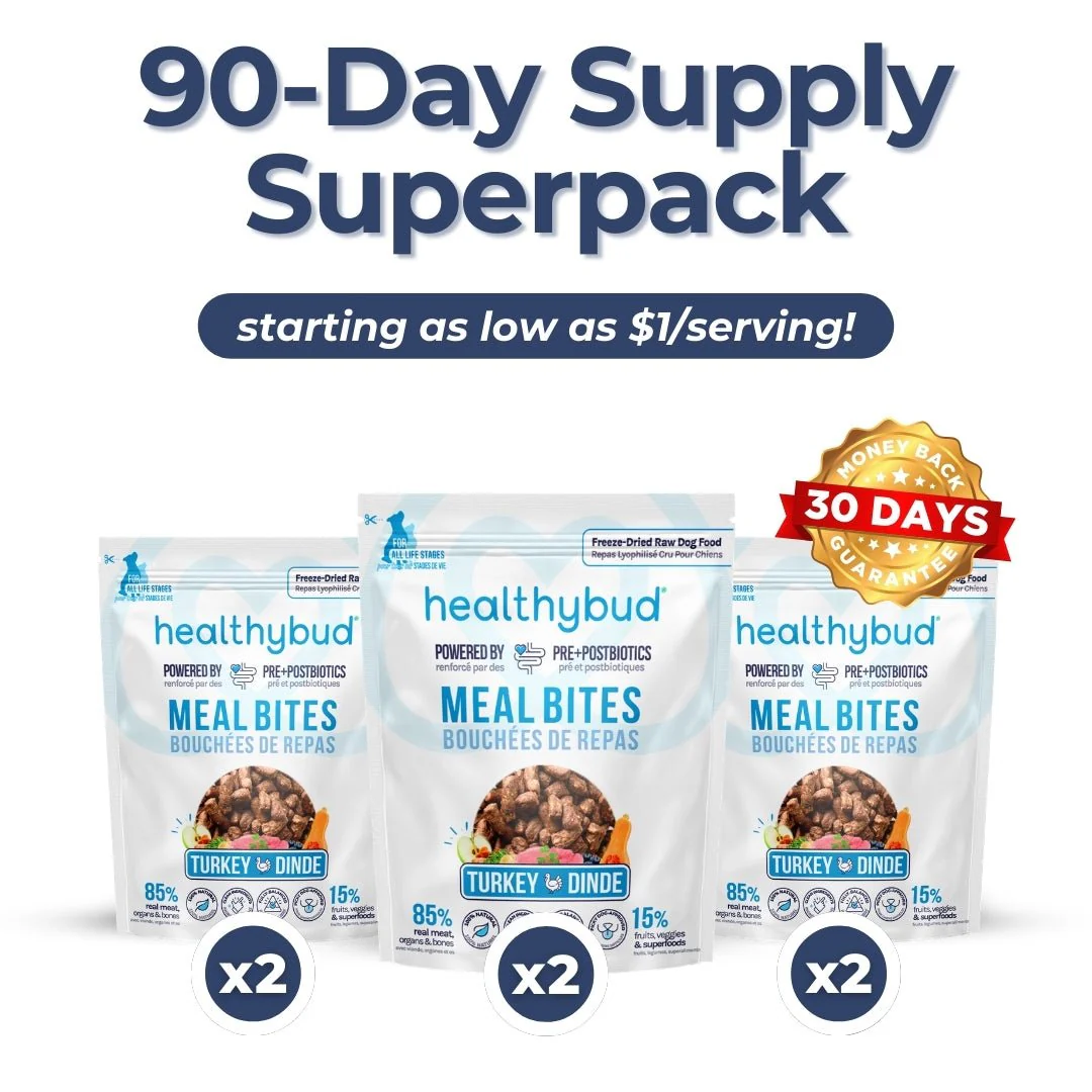 Small Dog Kibble Booster Super Pack (90-Day Supply) - Image 7