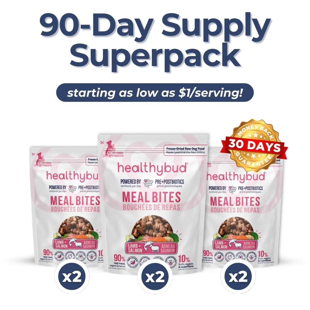 Small Dog Kibble Booster Super Pack (90-Day Supply) - Image 8