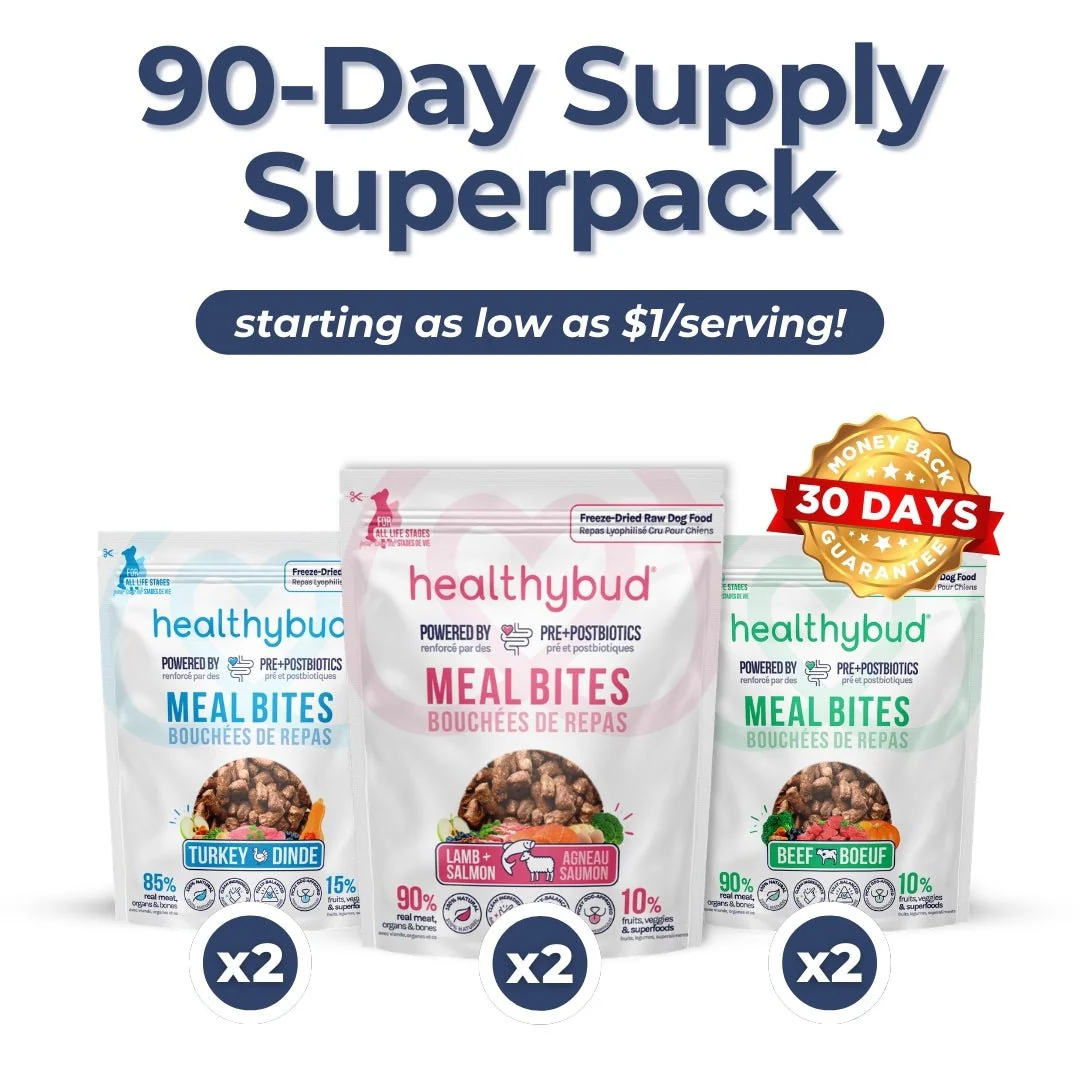 Small Dog Kibble Booster Super Pack (90-Day Supply) - Image 9
