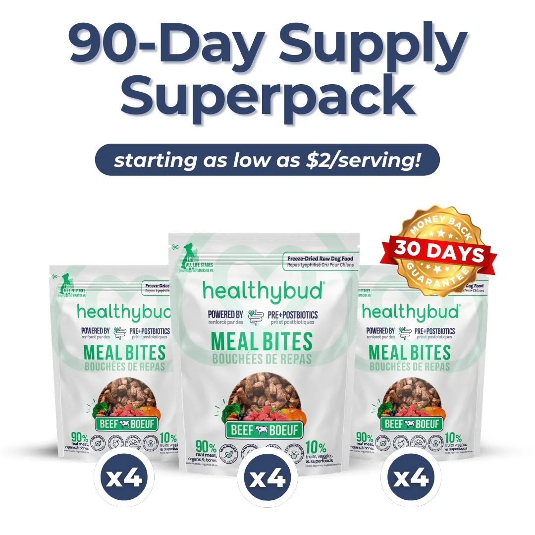 Large Dog Kibble Booster Super Pack (90-Day Supply) - Image 7