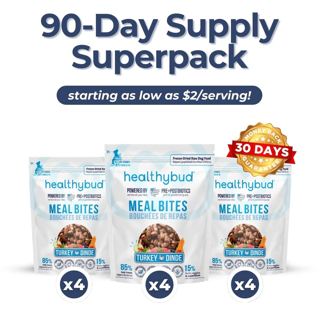 Large Dog Kibble Booster Super Pack (90-Day Supply) - Image 8