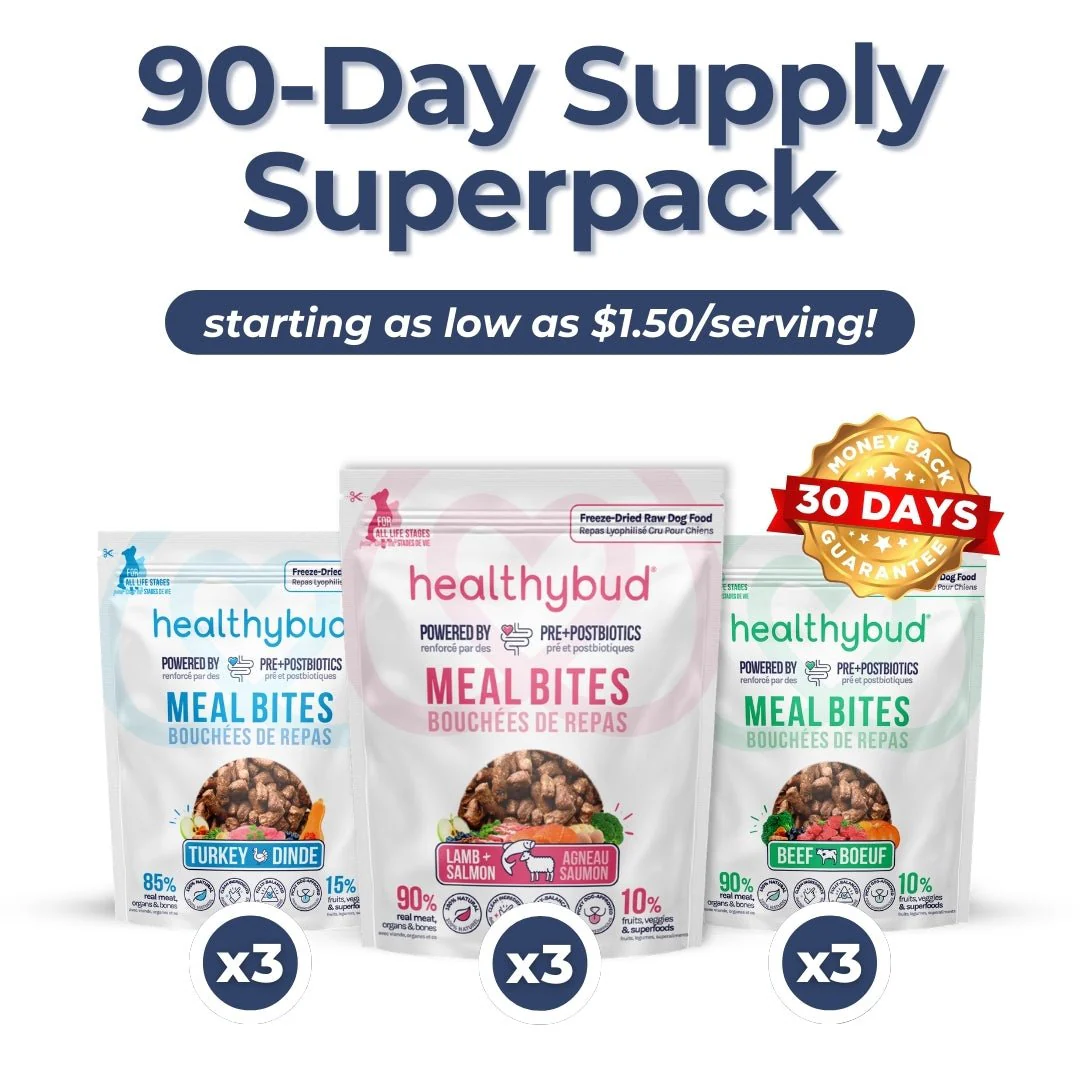 Medium Dog Kibble Booster Super Pack (90-Day Supply) - Image 10