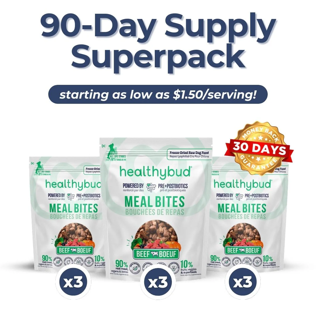 Medium Dog Kibble Booster Super Pack (90-Day Supply) - Image 7