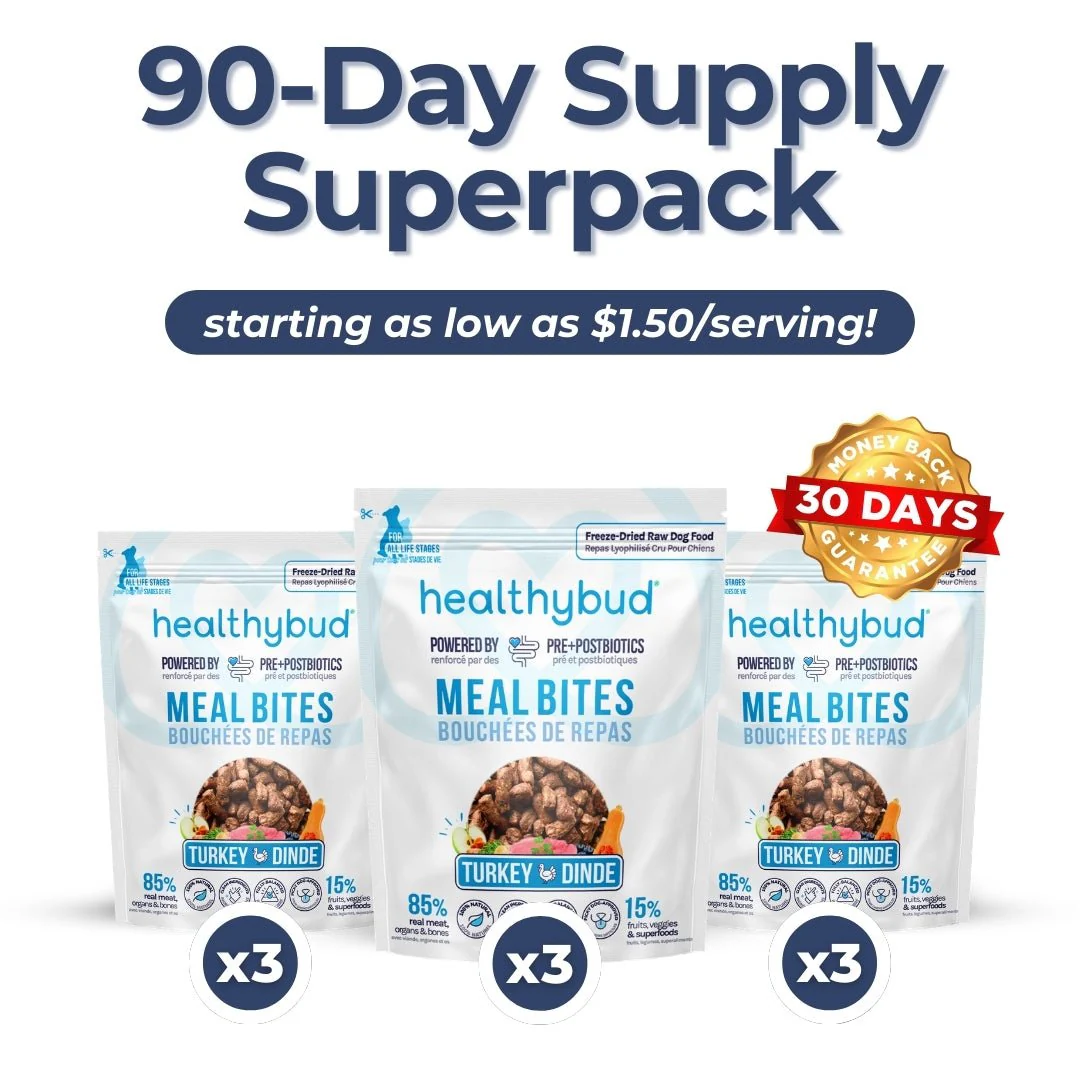 Medium Dog Kibble Booster Super Pack (90-Day Supply) - Image 8