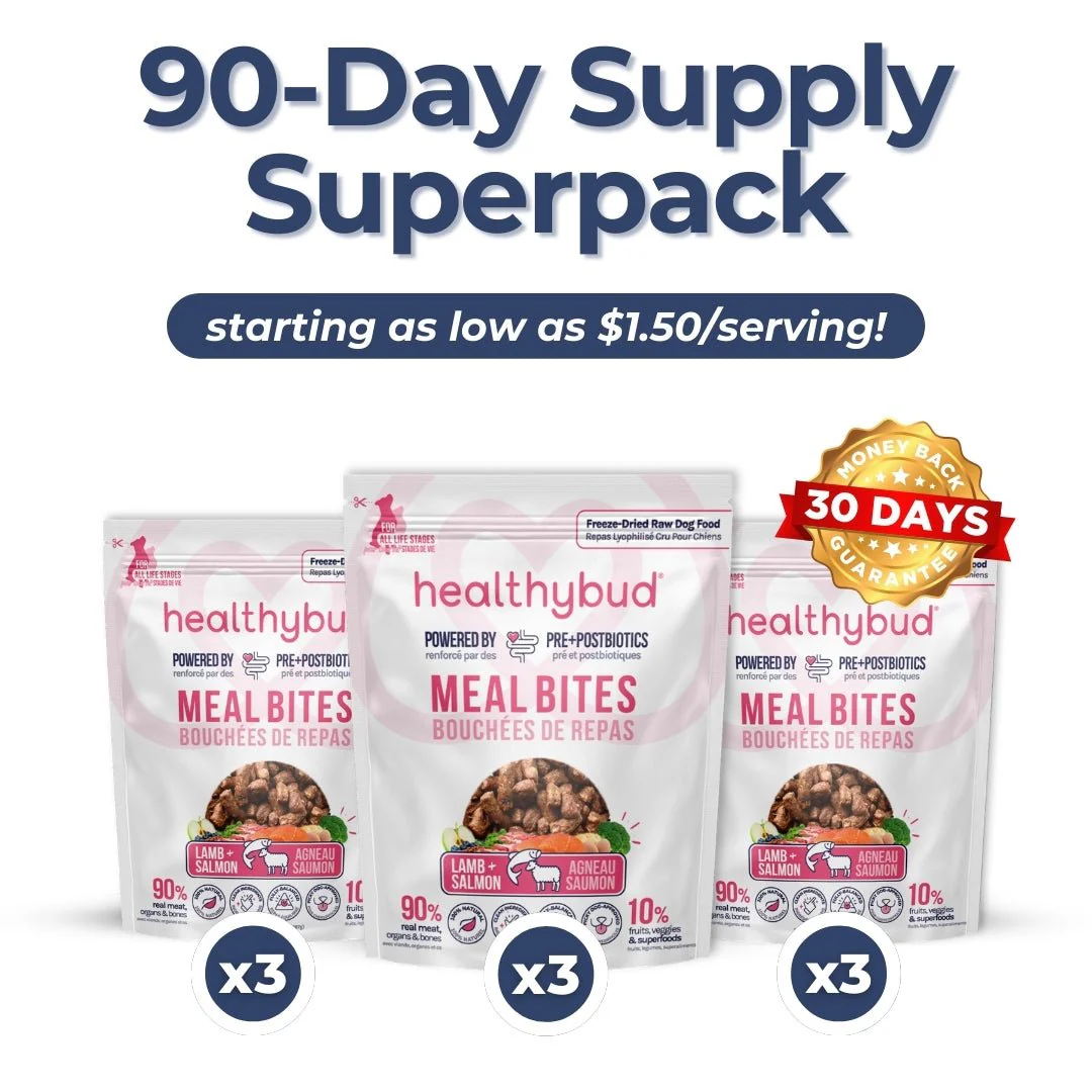 Medium Dog Kibble Booster Super Pack (90-Day Supply) - Image 9