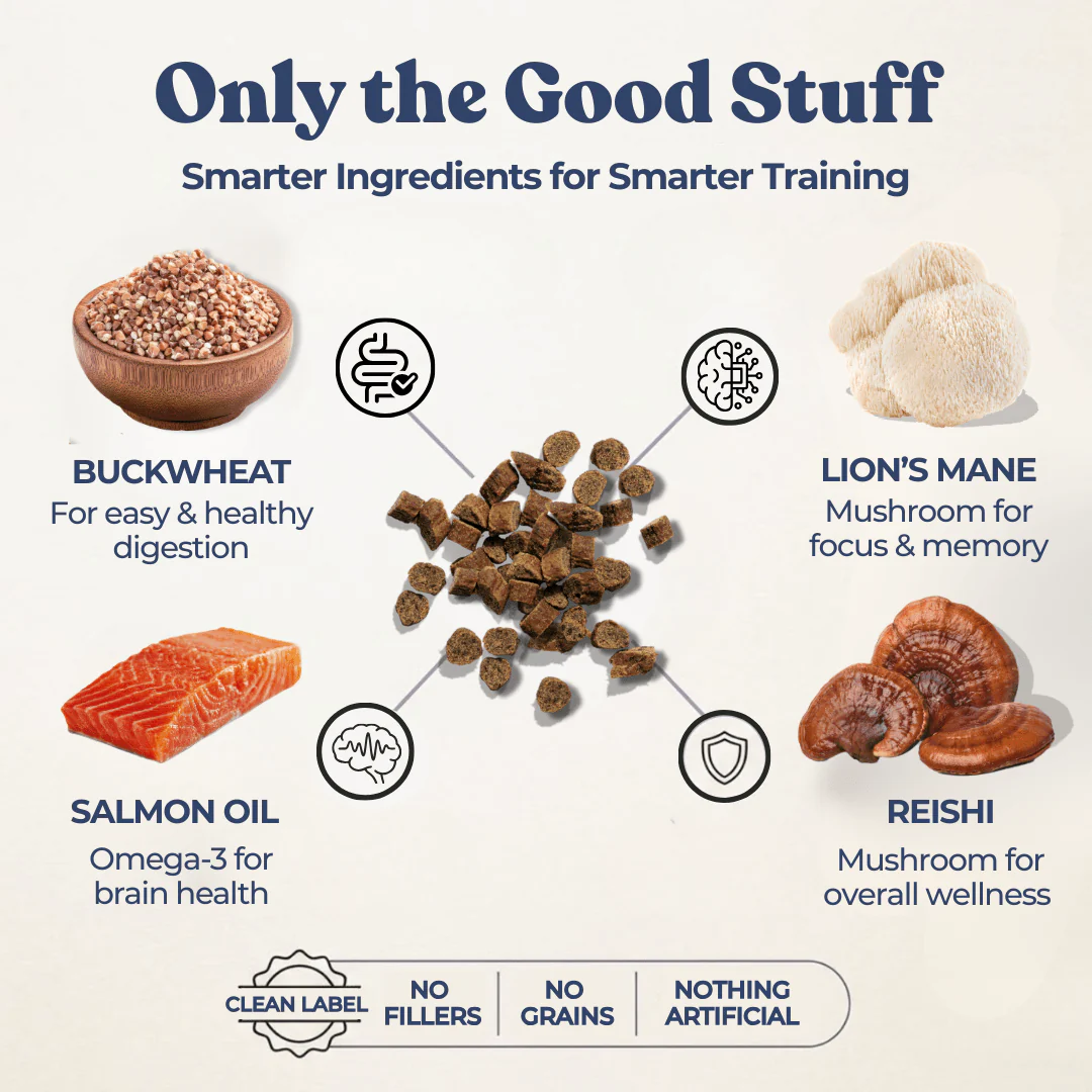 Chicken Mini Training Treats - Image 4