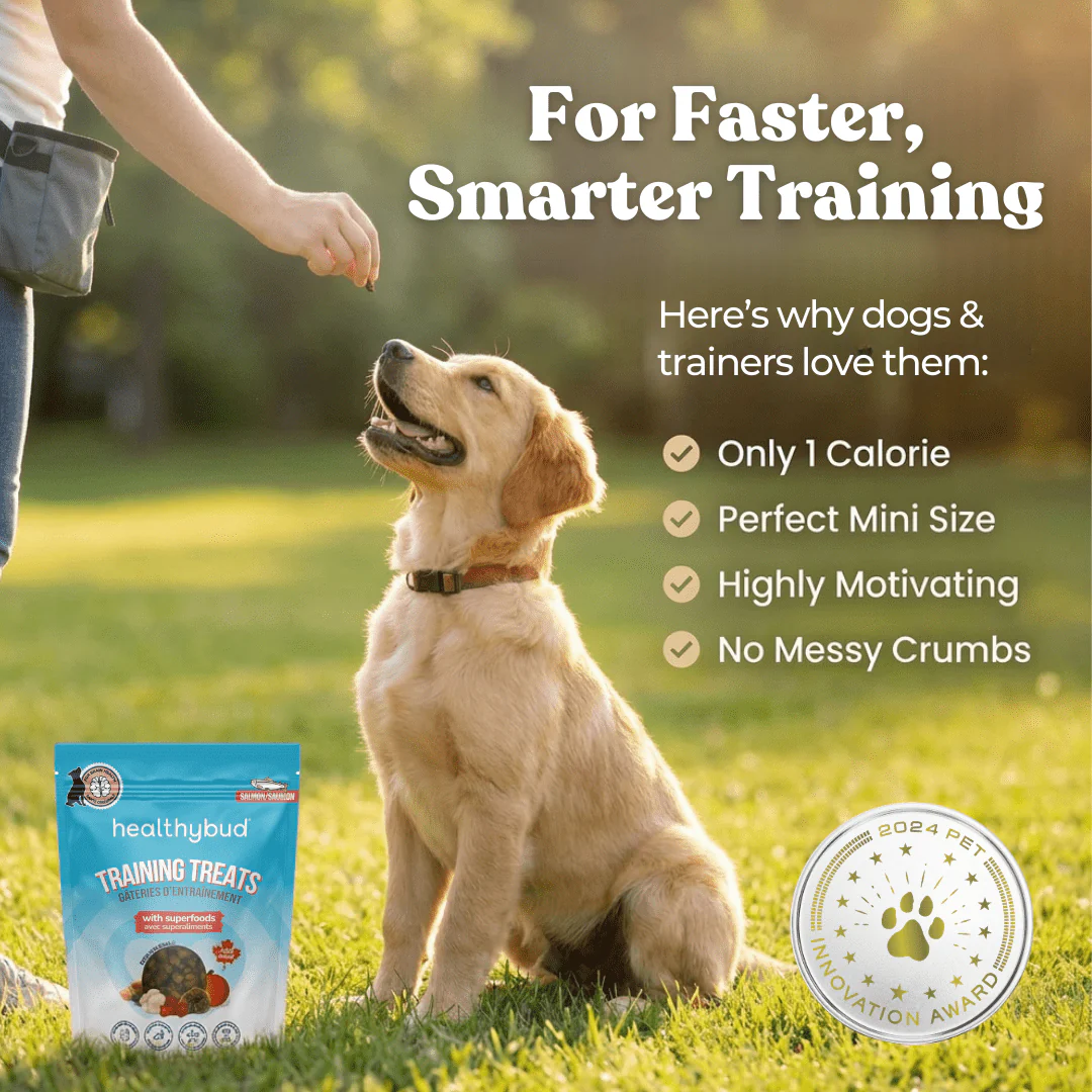 Salmon Mini Training Treats - Image 6