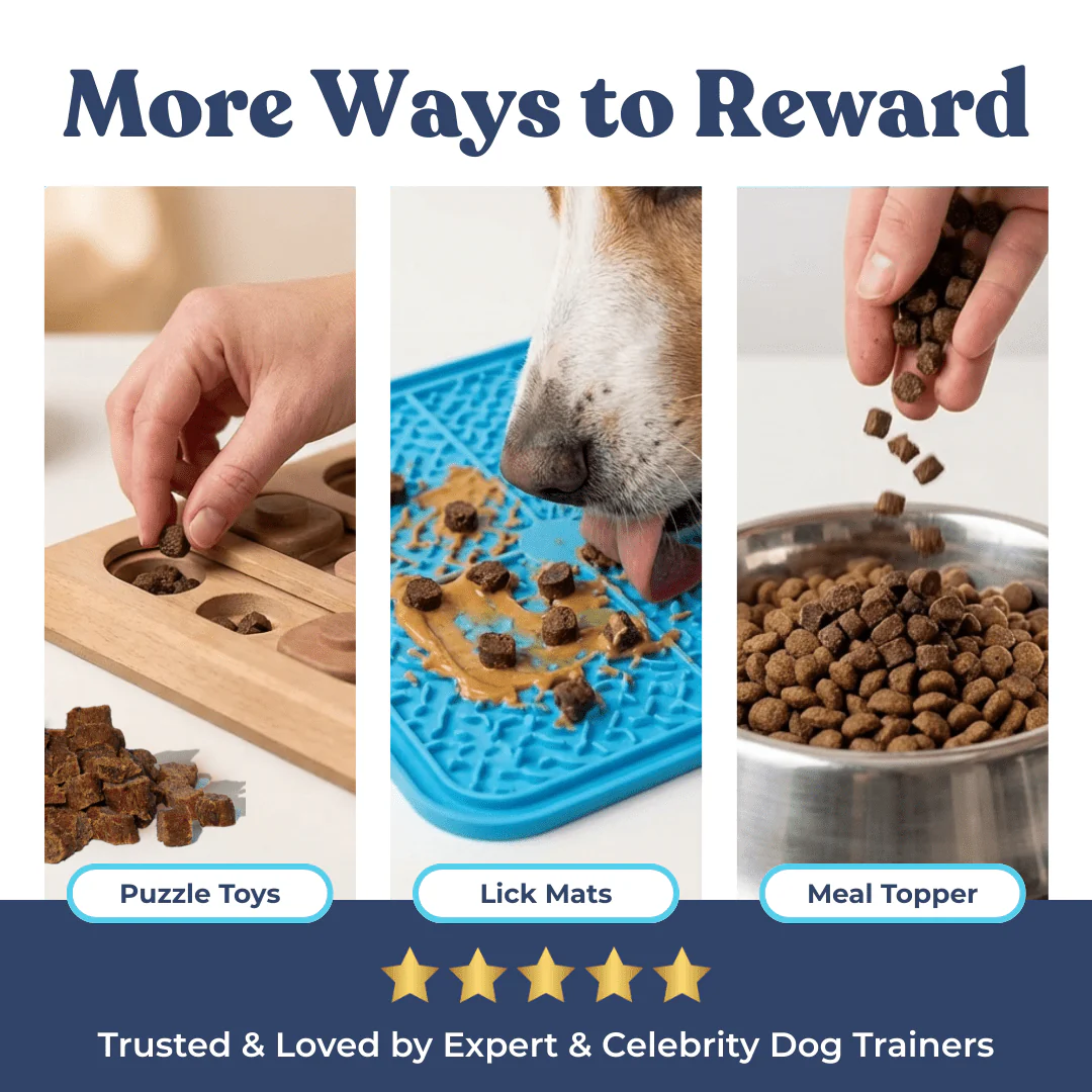 Chicken Mini Training Treats - Image 7