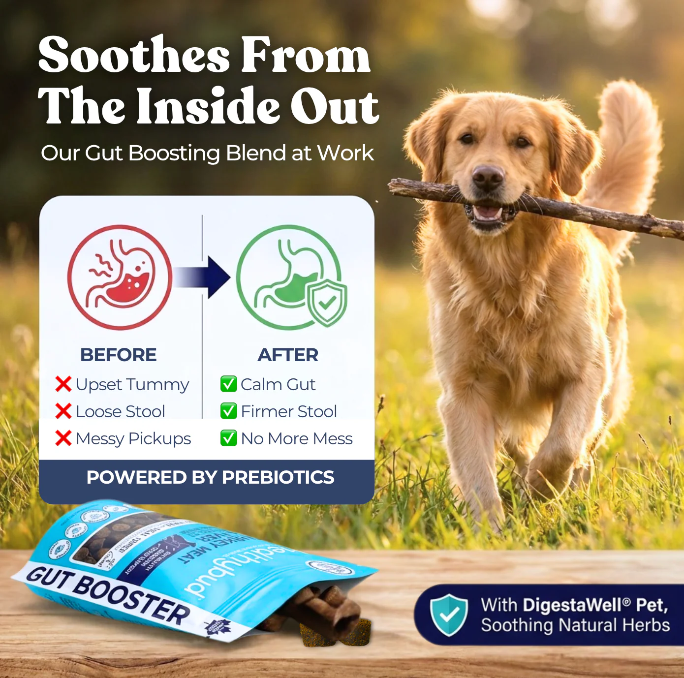 Turkey Gut Booster - Image 7